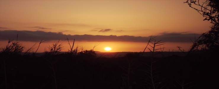 sunset